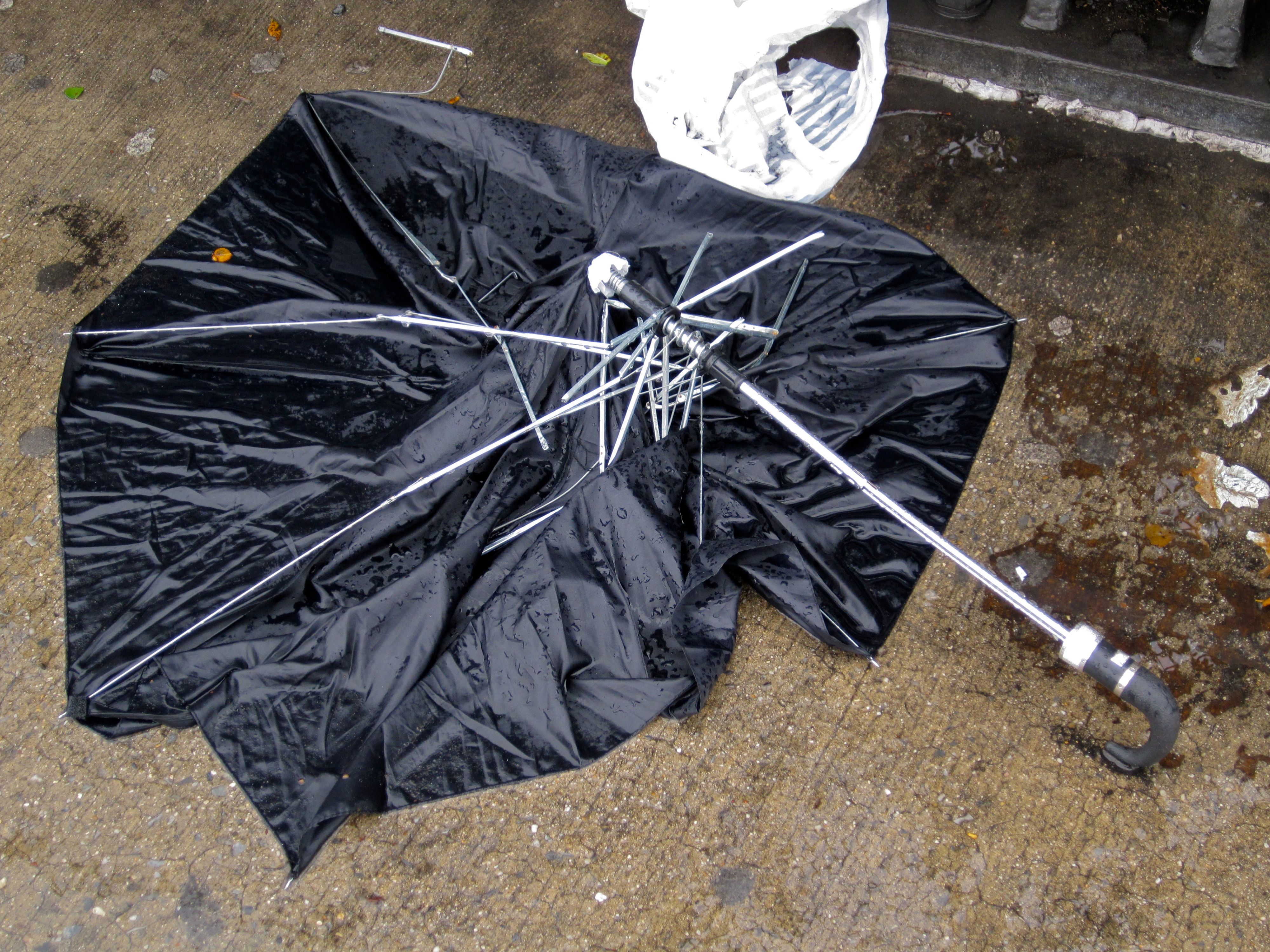 Another umbrella husk