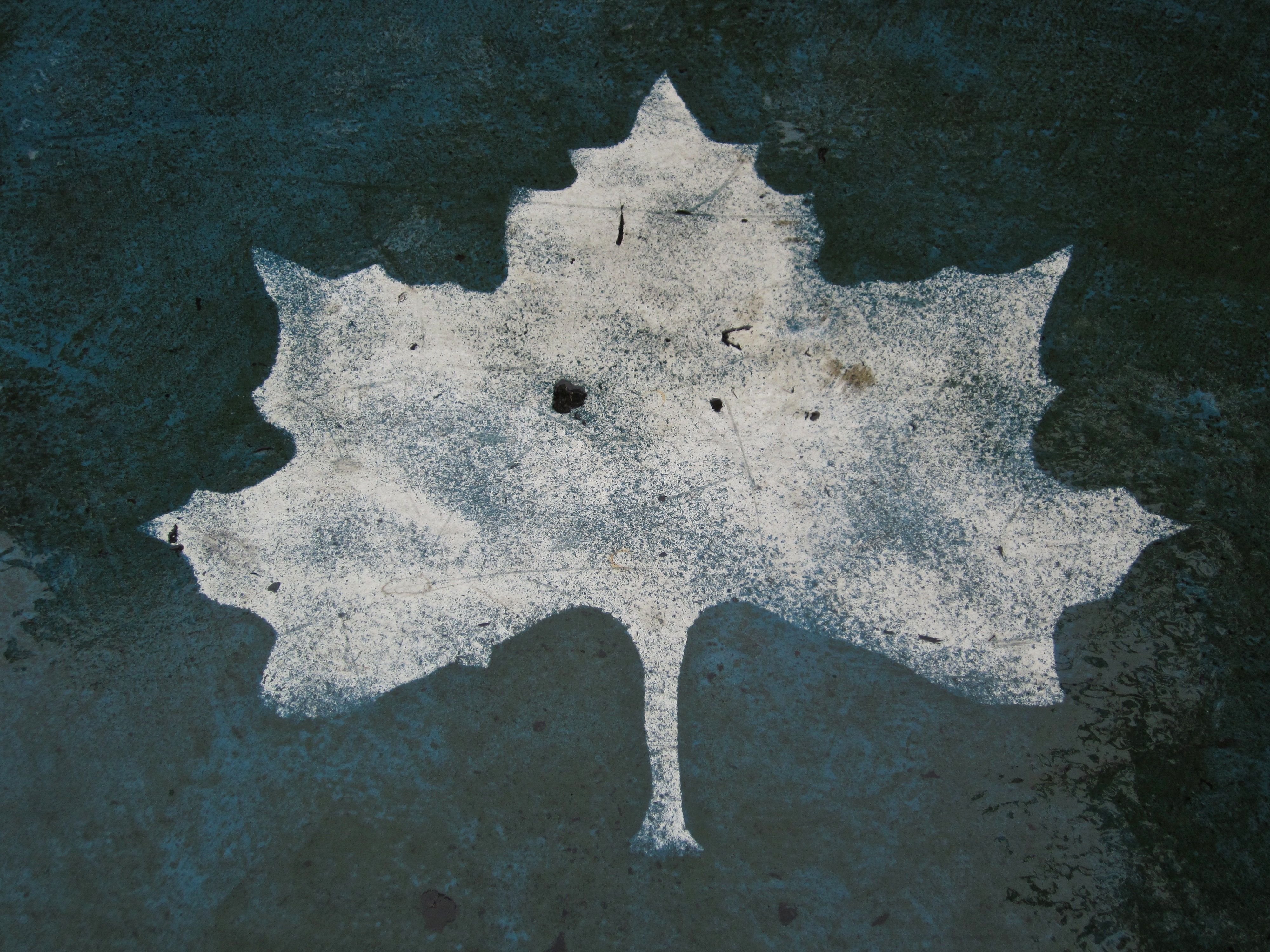 Basketball court with leaf emblem