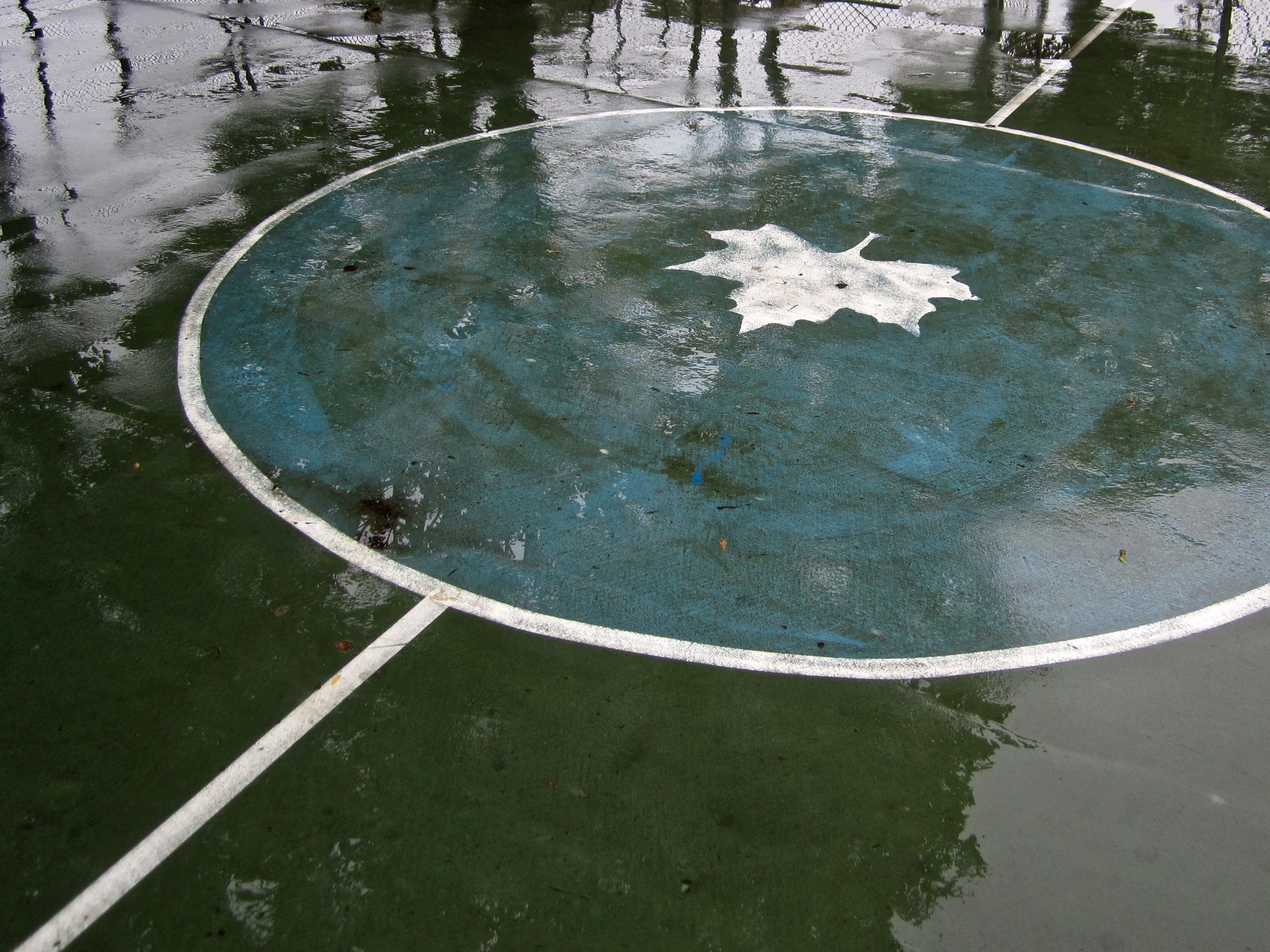 Basketball court with leaf emblem