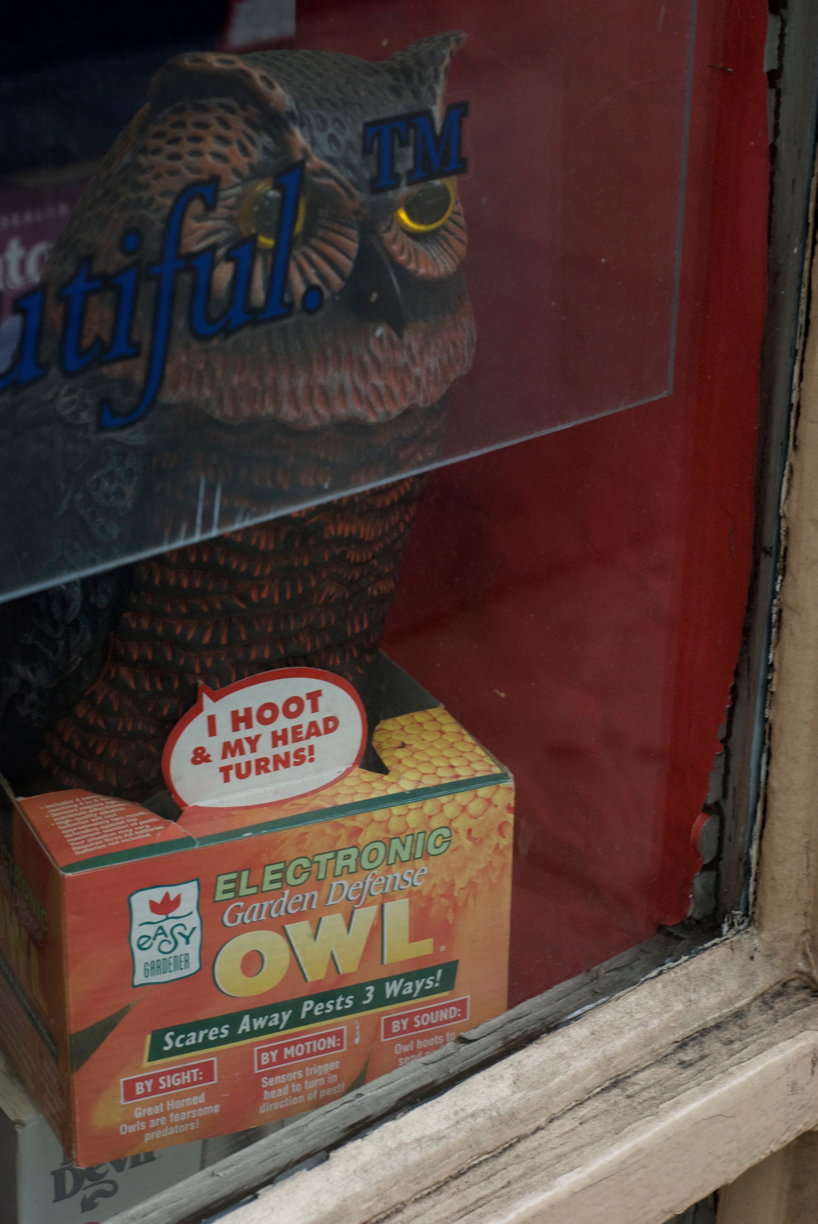 A sensor found on a walk in Manhattan