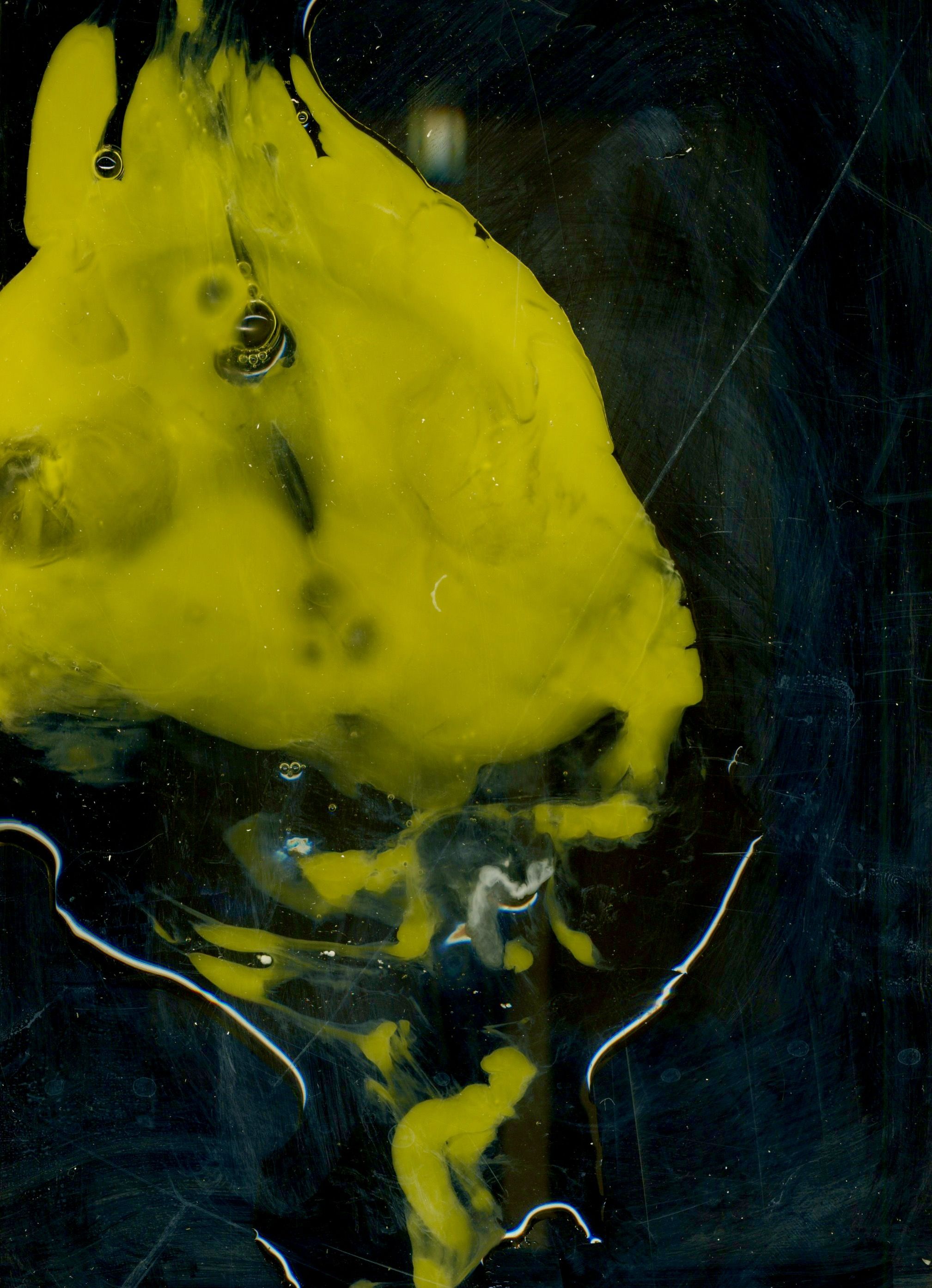 And another scanned cracked egg