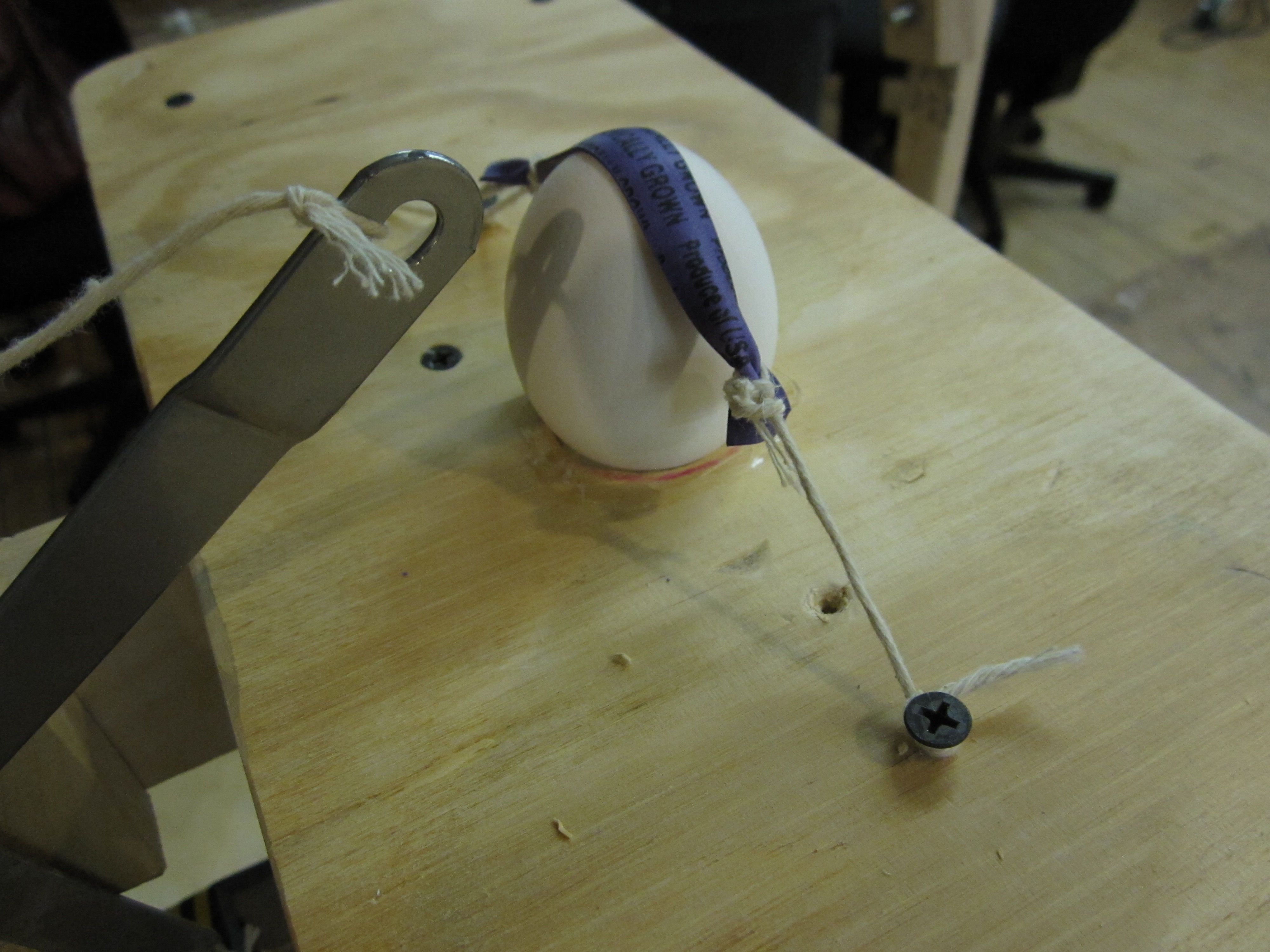 An egg in position beneath a metal lever