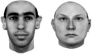 Face and Anti-face