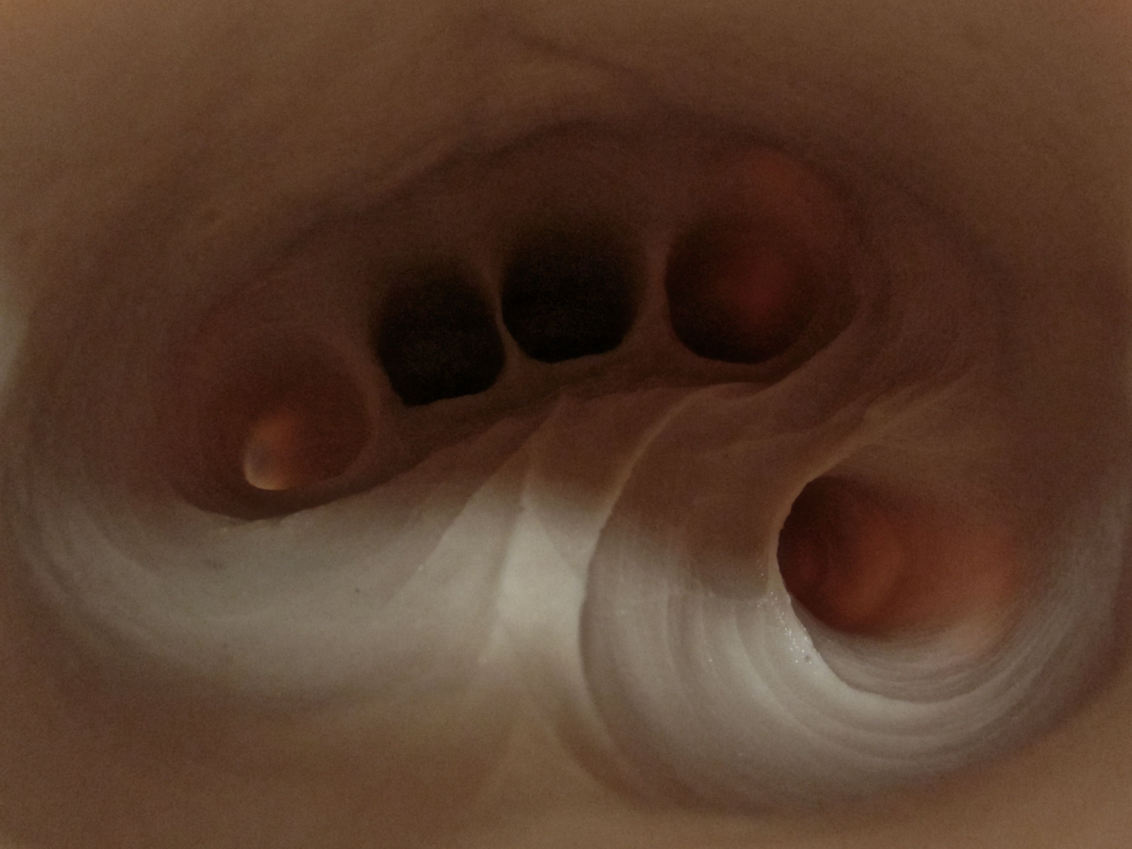 Inside the hand mold