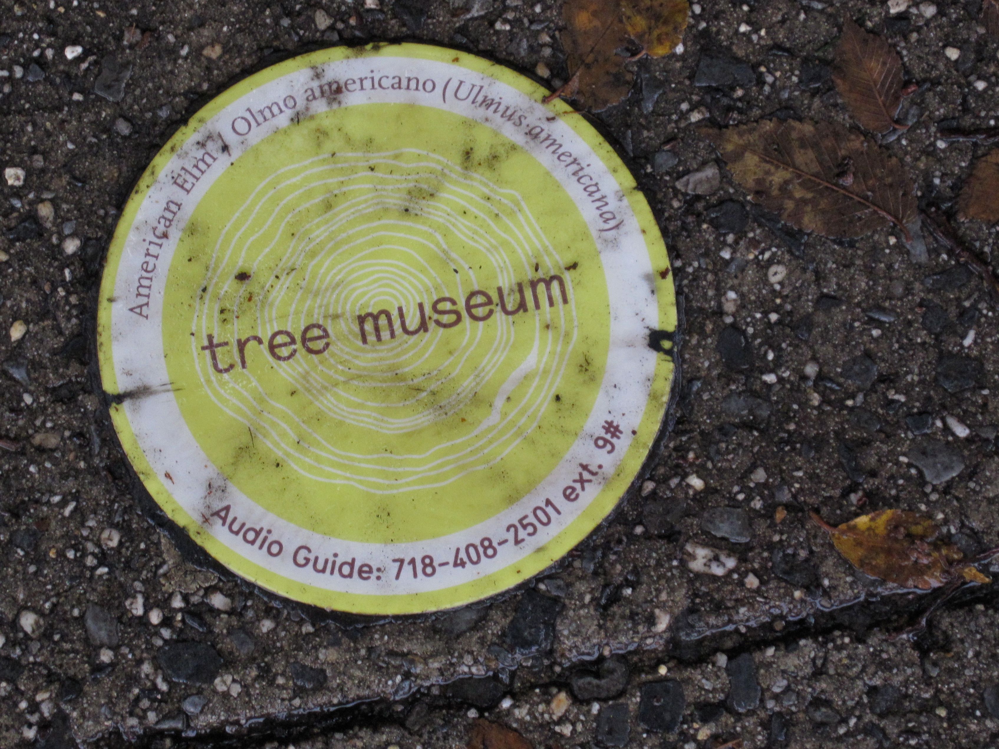 Tree Museum tree number 9