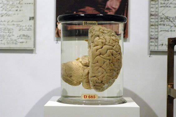 Charles Babbage's brain in a jar