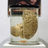 Charles Babbage's brain in a jar.