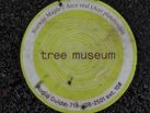 Tree Museum tree number 10